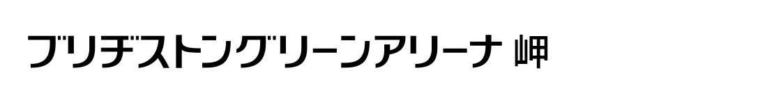 ブリヂストングリーンアリーナ岬