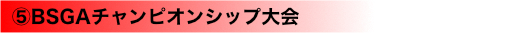 （５） BSGAチャンピオンシップ大会