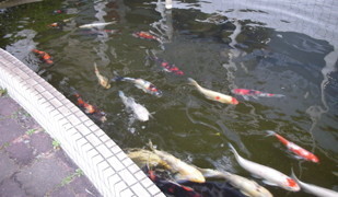 施設紹介3